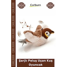 Petshop Kedi Avcılık İçgüdüsü Tetikleyici Kanat Çırpan Sesli Usb Şarjlı İpli Peluş Uçan Kuş Oyuncak