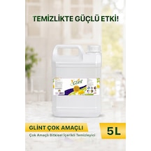 Glint Çok Amaçlı Bitkisel İçerikli Yüzey Temizleyici Yağ Çözücü Kireç Sökücü 5 L