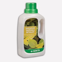 Ayrex Genta Sararan Yapraklar İçin Sıvı Besin - Sıvı Gübre 500 Cc 0,250