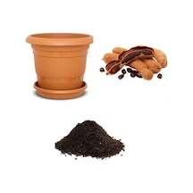 Ithal Tamarind Tohumu Ekim Seti