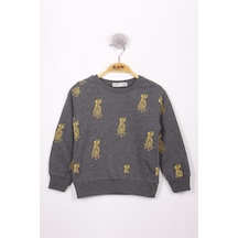 Toontoy Kids Toontoy Erkek Çocuk Relax Fit Bisiklet Yaka Baskılı Sweatshirt - 2 İplik Antrasit