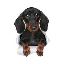 Dachshund Sevimli Köpek Sticker 17Cm