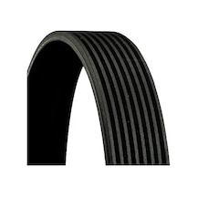 Contıtech 8pk1035 Kayis 0977828 977828