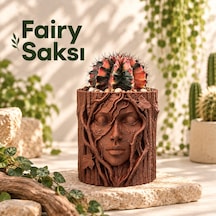 Doğadan İlham Alan Dekoratif Fairy Saksı