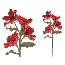 Lamedore Kokoş Çiçeği Kırmızı 100 Cm