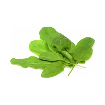 250+ Kuzu Kulağı Otu Tohumu Limon Aromasında N112703