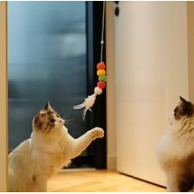 Kedi Oltası Elastik