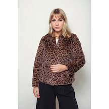 Vitrin Leopar Desen Yumoş Çıtçıtlı Ceket