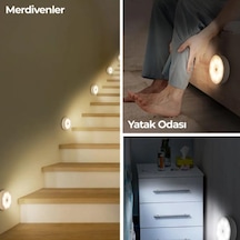 Renkli