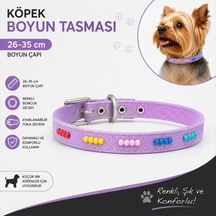Boncuklu Köpek Boyun Tasması 26-35 Cm Küçük Irk Ayarlanabilir Metal Tokalı D Halkalı - Lila Çok Renkli
