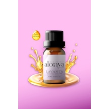 Lavanta