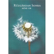 Rüzgardan Sonra - Mine Or