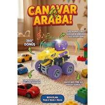 Çok Renkli