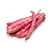 Barbunya Tohumu Çoklu - 25 Gram