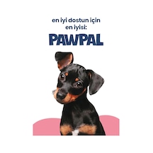 Kuzu Etli Süper Premium Yavru Köpek Maması 3kg Hipoalerjenik Düşük Tahıllı Yüksek Proteinli