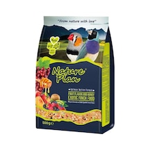 Nature Plan Meyveli ve Ballı Hint Bülbül Egzotik Finch Yemi 500g