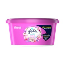 Glade Oda Kokusu Mini Jel 70 G Floral Perfect Çok Renkli