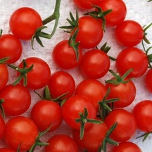 Doğal Red Currant Domates Tohumu 20 Tohum 1 Set