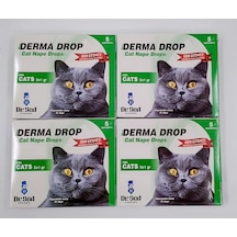 Derma Kedi Dış Parazit Damla  4 Kutu