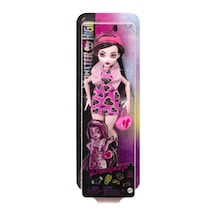 Monster High Ana Karakter Bebekler