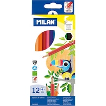 Milan Heksagonal Gövdeli Boya Kalemi 12'li
