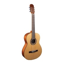 Alvaro No:27 İspanyol 4/4 Tam Boy Klasik Gitar-Kılıflı