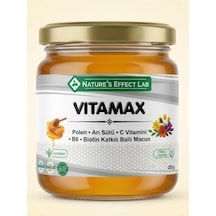 Vitamax Polen Arı Sütü C Vitamini B6 Ve Biotin Katkılı Ballı Macun 255 Gr