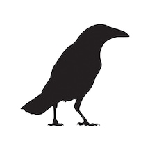 Folyo Sticker Karga 100cm Uzunluk Siyah