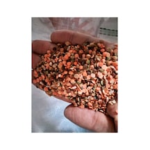 10 Kg Kırmızı Mercimek Yeşil Mercimek Karışık