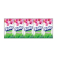 Solo Mendil 10'lu Çiçek Kokulu