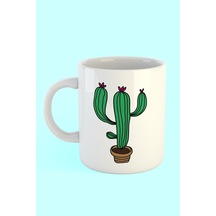 Beyaz