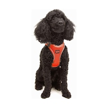Air-mesh Küçük Ve Orta Irk Kedi Köpek Göğüs Tasması - Yumuşak, Nefes Alabilir, Dayanıklı Neon-turuncu, Xsmall