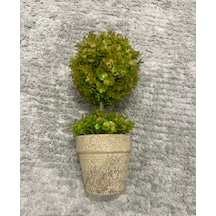 Premium Yapay Sukulent / Canlı Görünümlü Dekoratif Bitki - Gri Saksılı 13x17 Cm Haki