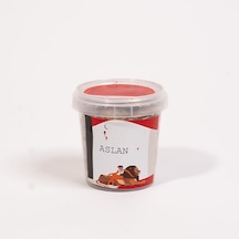 Çim Adam - Aslan Burcu