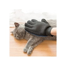 Standart Boyut Kedi Ve Köpek İçin Tüy Toplama Eldiveni