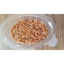 Un Kurdu Mikro 1-1.5 Cm Boy 100 Adet