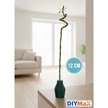 Bambu Kök Tüpü Uyumlu Dekoratif Saksı Yeşil