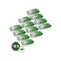 Dex Aloe Vera Islak Havlu 12 Adet 120'li