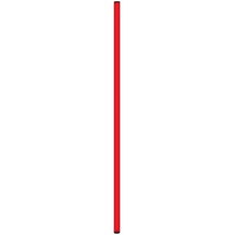Delux Serisi Antrenor Çubuk Salon Cbk-65 Red Antreman Çubuğu 65 Cm Kırmızı