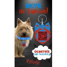 Mavi