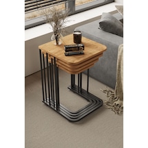 Siyah - Atlantik Çam