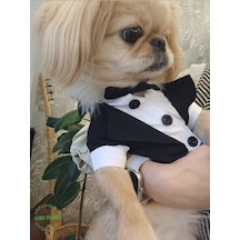 Gobo Papyonlu Smokin Damatlık Kedi Köpek Giyim Takım Elbise