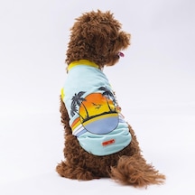 Pawstar Mint Sunrise Kedi Köpek Tişörtü Kedi Köpek Kıyafeti
