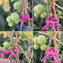 Bitki Bağlama Destek Mandalı Pembe 5 Adet