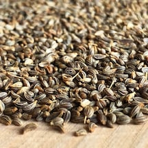 Dökme Tohumlar Maydanoz Tohumu 250 GR