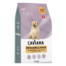 Caviara Tavuklu Orta Ve Büyük Irk Yavru Köpek Maması 2 Kg