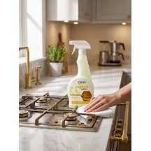Lanyore Home Clean Yağ Kir Sökücü Tekli