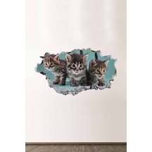 Sevimli Yavru Kediler Full Hd Baskı Salon Ve Oturum Odası Modern Duvar Sticker