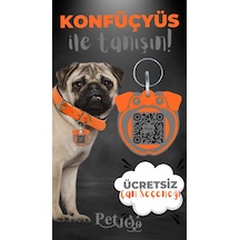 Petjoo 9.Konfüçyüs Gri-Turuncu Qr'lı Köpek Künyesi