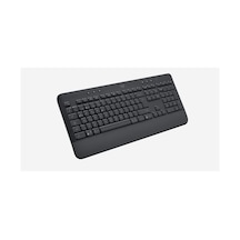 K650 Q Tr Mm Kablosuz Klavye Siyah 920-010919